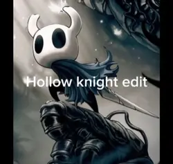Hollow knight edit
