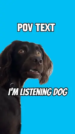 I’m listening dog