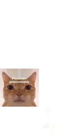 te ere un heroico