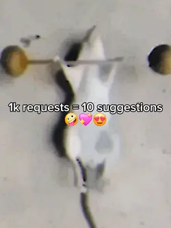 SILLY RAT