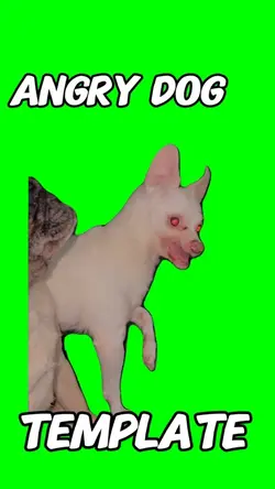 Angry Dog Meme 