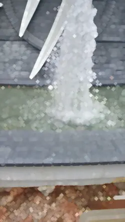 FOUNTAIN OF YOUTH 