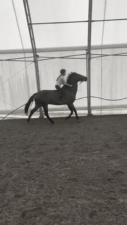 Bareback slomo