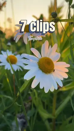 New Templates