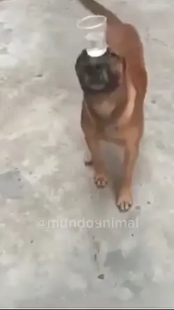 Tião da pinga kkk