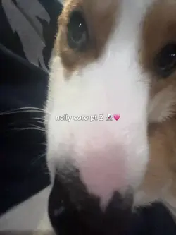 nelly core 💗💗