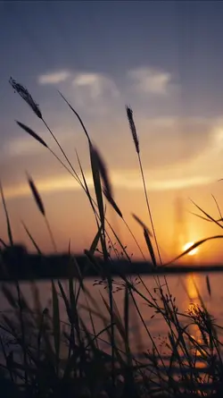 DIA DE SOL