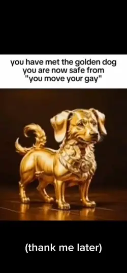 Golden dog