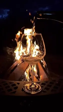 taça 