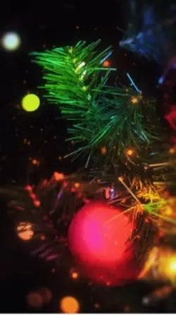 Christmas lights