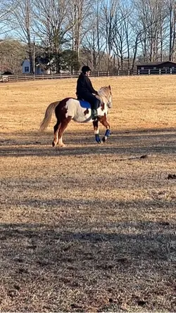 Ranch🤦‍♀️