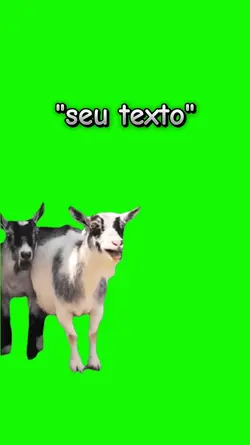 meu bode 