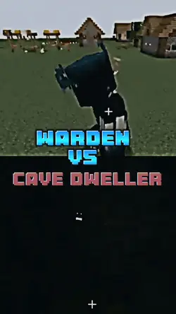 Warden vs Cd & MFTF.