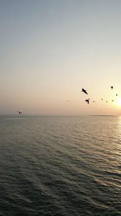 Vlog ☀️