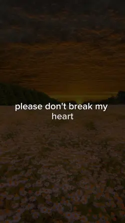 Dont break my hear