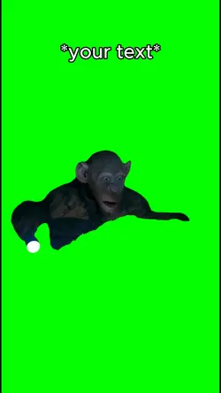 Oh no