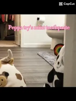 Fowboy try a toothbr