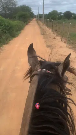 Oh… canção 