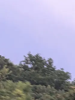 :/