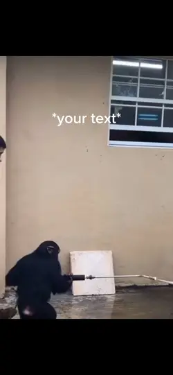 Cleaning monkey