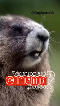 Vamos ao cinema 