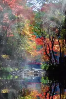Nature's Beauty 