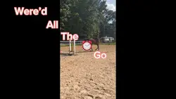 Where did it go