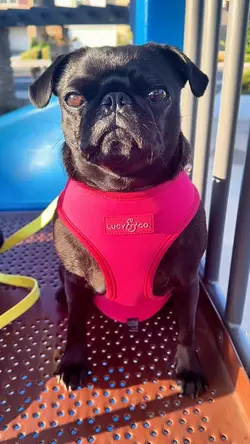 You’re so cute!