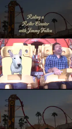 Roller Coaster Ride 