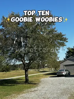 Top 10 goobie woobie