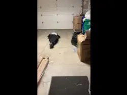 scared straight 