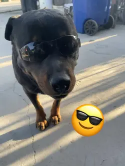 Yea! 
