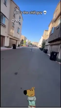 Bro is the chill guy