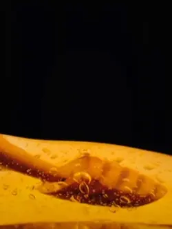 Honey clip