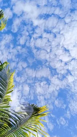 Sky Filter