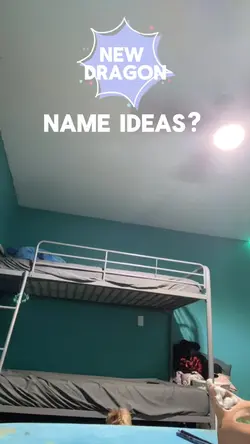 New dragon 