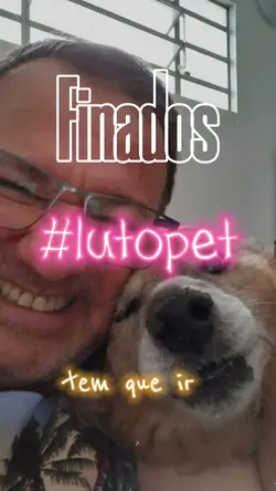 1 ano sem você 
