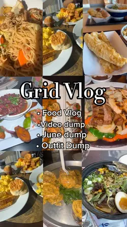 Grid Vlog