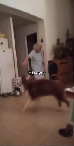 Him 