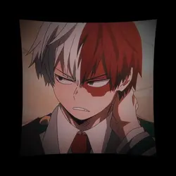 Todoroki:/