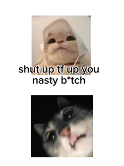 Roast Meme