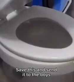 Toilet meme 
