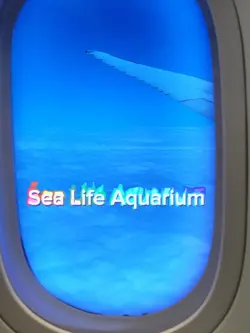 SeaLife