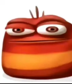 Oi oi oi