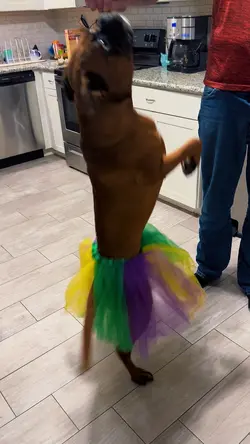 Speed Ballet