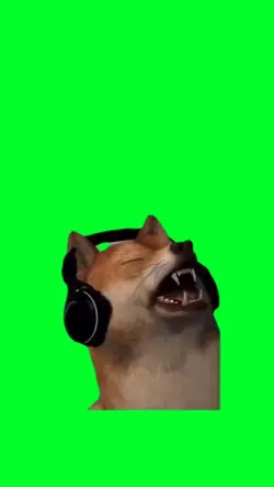 Shiba Inu vibing