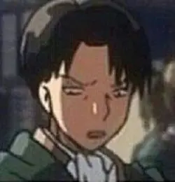 levi