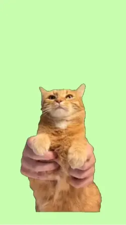 Kung fu fightin