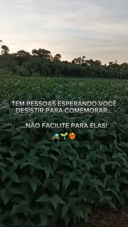 não facilite