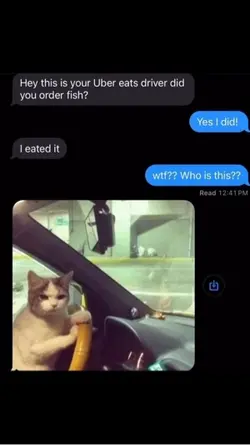 my Uber driver weird